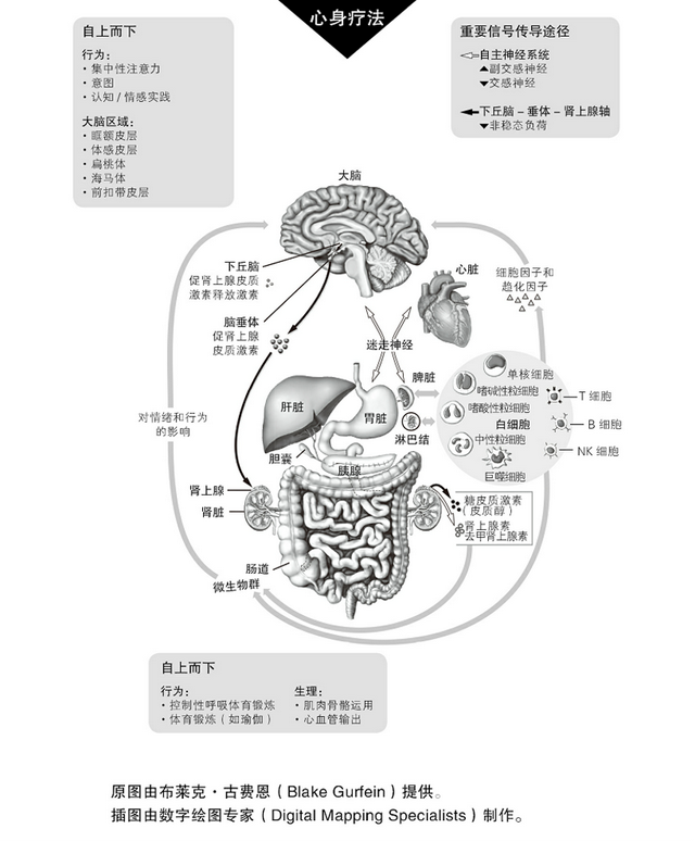 哪些事情危害健康，危害健康的行为有哪些（当今人类健康面临的最大危机）