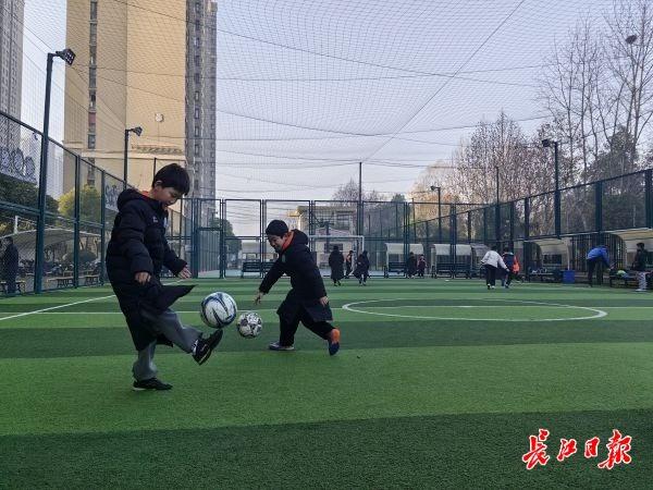 室内锻炼有啥好的运动，室内适合做什么运动（选什么锻炼开始让市民“犯难”）
