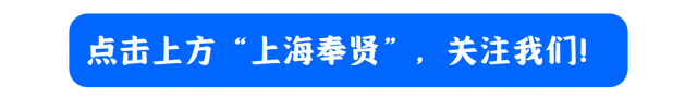领略汉字风采，刻印生肖印章，金海这场夏日博物馆研学之旅收获满满！