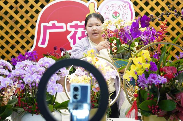 花数量代表的意义，21朵玫瑰花数量代表的含义（今年广州年花量大价优）