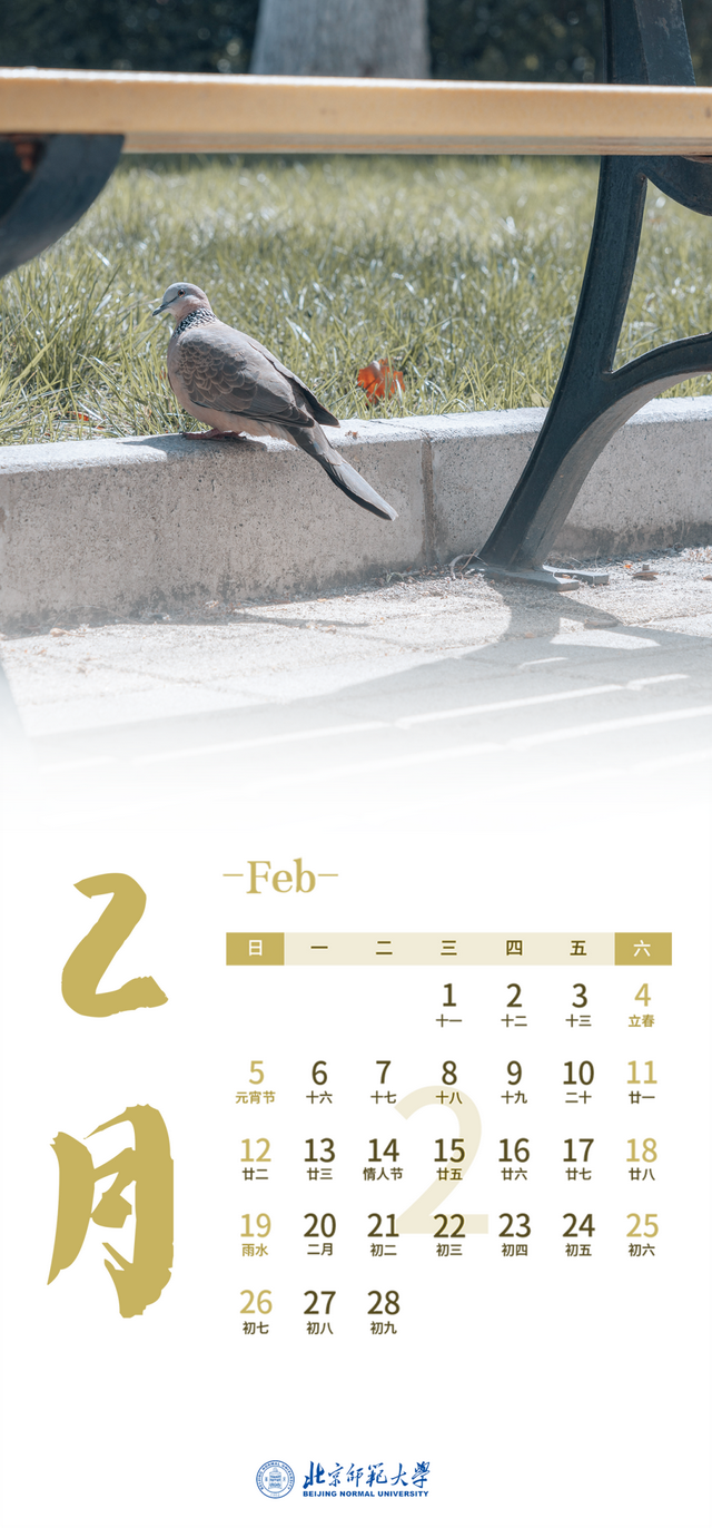 六月是初夏还是盛夏，六月的盛夏还是盛夏的六月（师大年历丨2023年的四季）