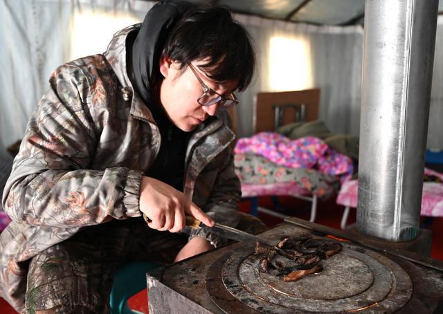 养一只能日的动物，十大好养的宠物（使鹿部落驯鹿饲养人觉乐的“荒野生存”）