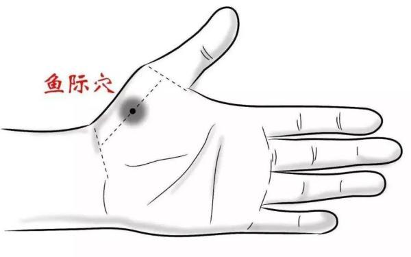 如何养肺补肺，怎么润肺补肺气（五个最简单的养肺方法送给你）