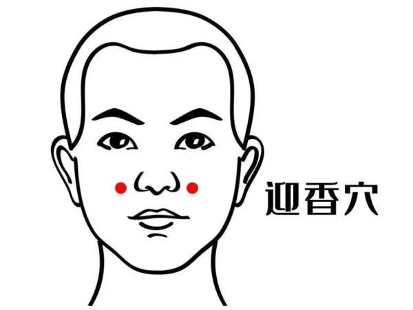 如何养肺补肺，怎么润肺补肺气（五个最简单的养肺方法送给你）