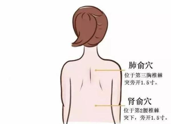 如何养肺补肺，怎么润肺补肺气（五个最简单的养肺方法送给你）