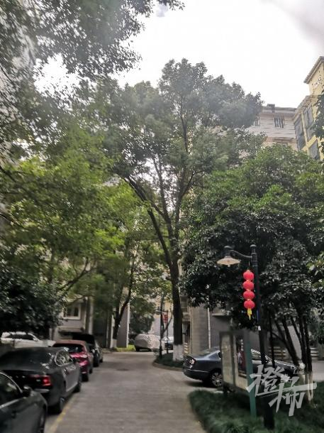 什么是钢化玻璃，什么是钢化玻璃中空玻璃夹层玻璃有何特点（杭州一住户家中双层钢化玻璃被击穿）