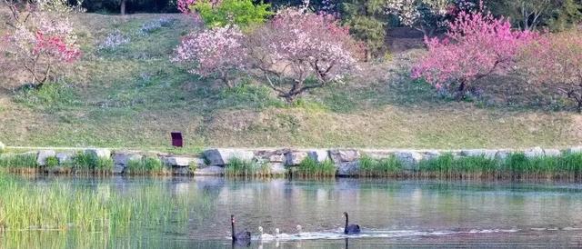 圆明园门票多少钱，圆明园门票价格（圆明园2023年年票和月票开售啦）