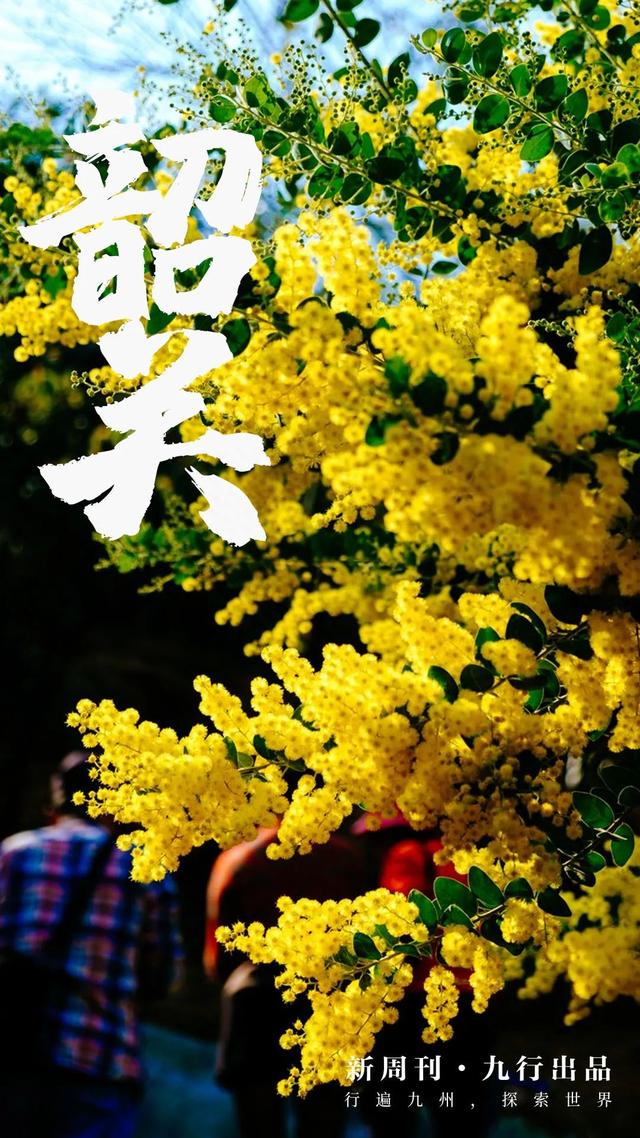 去趟韶关，我被春天的万种风情惊艳到了