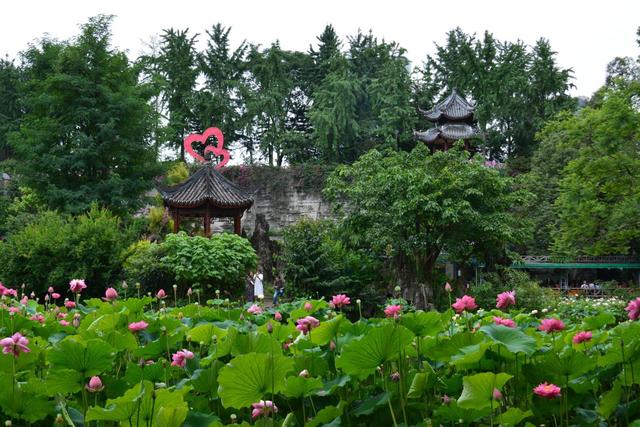 赞美环境优美的话，赞美环境的优美语句（成都市首届“最美公园”评选结果出炉）