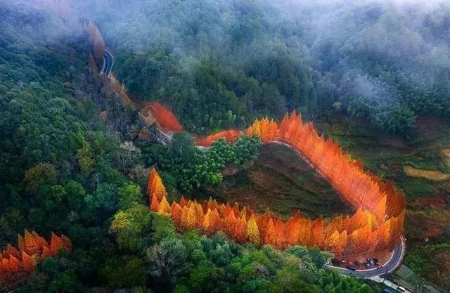 福建省旅游最全攻略，10条线路带你玩转福建→