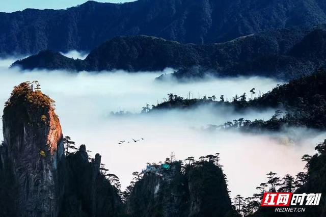 暑假带孩子去哪里旅游最好国内，暑假带孩子去国内哪里旅游最好（文旅部官推全国乡村旅游精品线路）