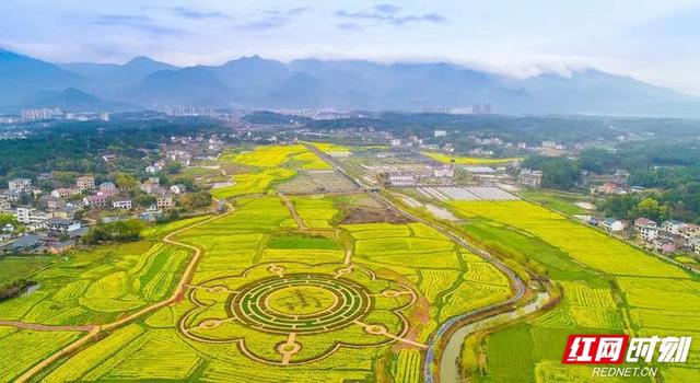 暑假带孩子去哪里旅游最好国内，暑假带孩子去国内哪里旅游最好（文旅部官推全国乡村旅游精品线路）