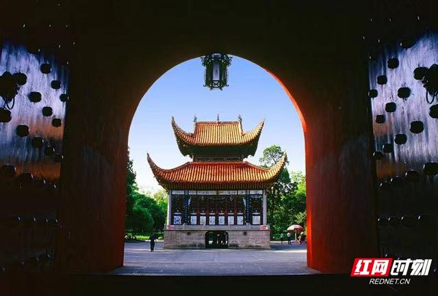 暑假带孩子去哪里旅游最好国内，暑假带孩子去国内哪里旅游最好（文旅部官推全国乡村旅游精品线路）