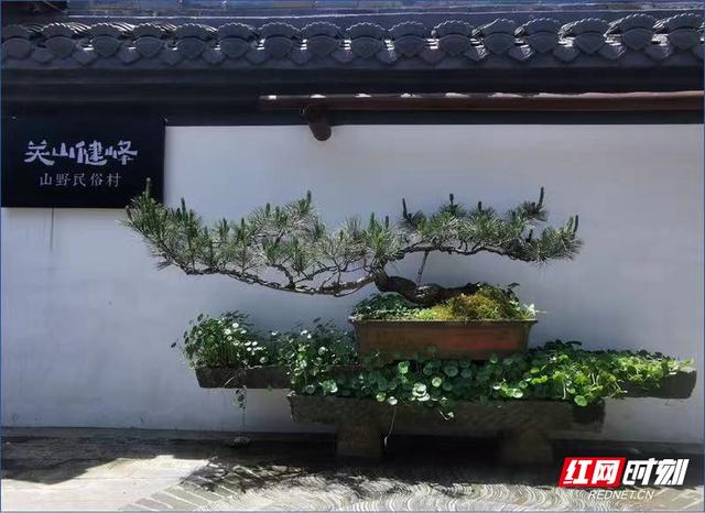暑假带孩子去哪里旅游最好国内，暑假带孩子去国内哪里旅游最好（文旅部官推全国乡村旅游精品线路）