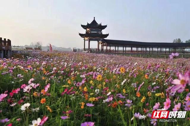 暑假带孩子去哪里旅游最好国内，暑假带孩子去国内哪里旅游最好（文旅部官推全国乡村旅游精品线路）