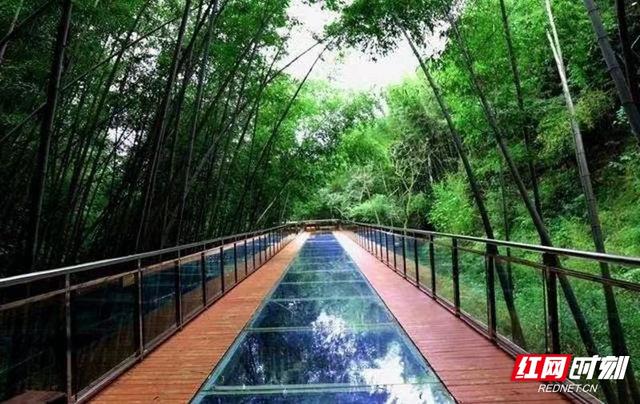 暑假带孩子去哪里旅游最好国内，暑假带孩子去国内哪里旅游最好（文旅部官推全国乡村旅游精品线路）