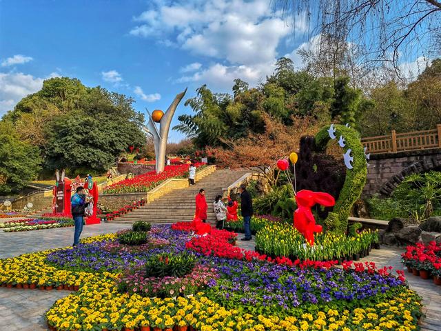 成都市市花是什么，成都市的市花是什么?意义是什么（快来成都市植物园过一个“花”式春节）
