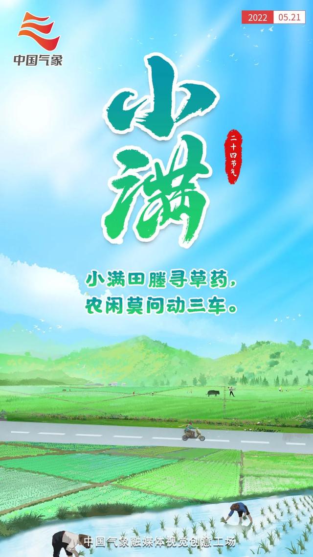 虎年是哪几年，兔年是哪几年生的年龄（24张海报回顾虎年二十四节气）