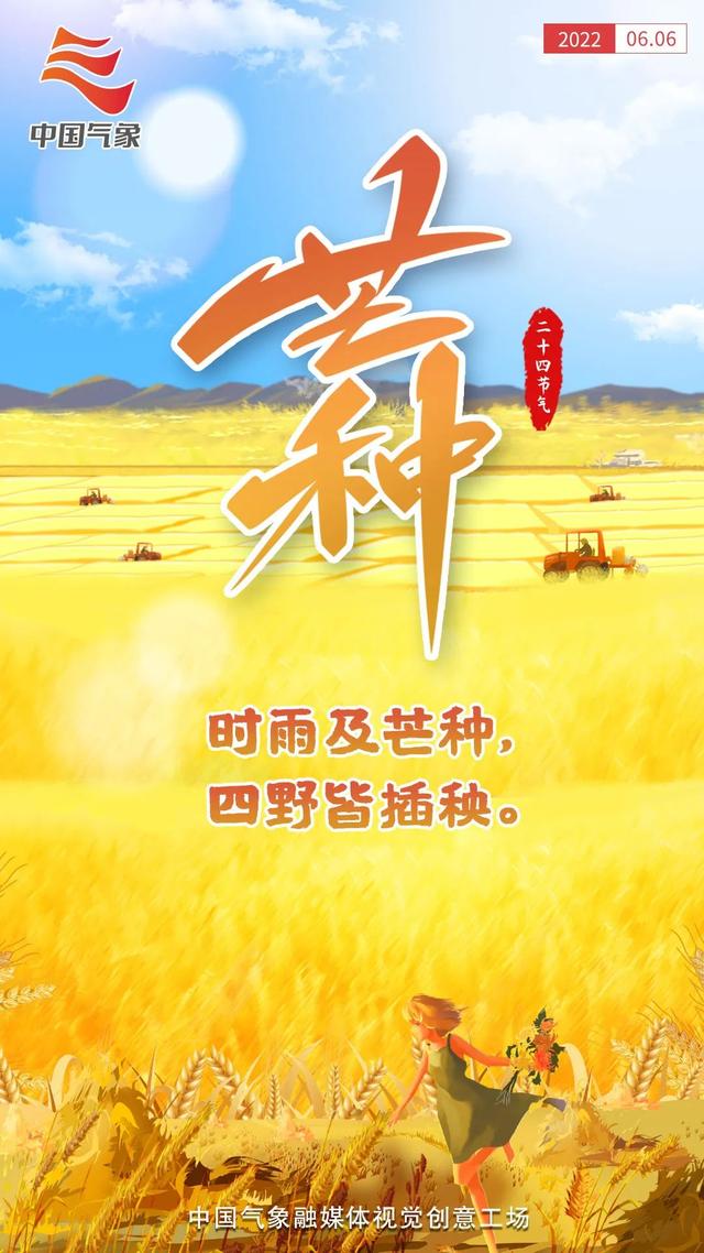 虎年是哪几年，兔年是哪几年生的年龄（24张海报回顾虎年二十四节气）