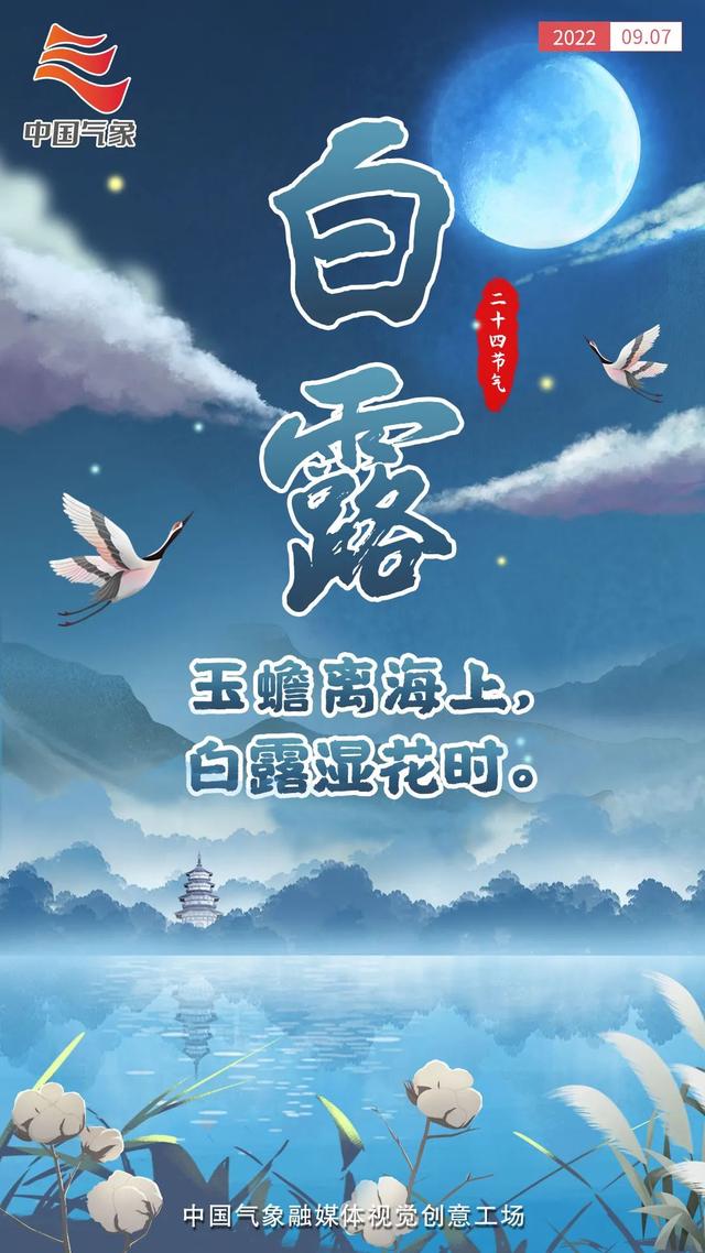 虎年是哪几年，兔年是哪几年生的年龄（24张海报回顾虎年二十四节气）