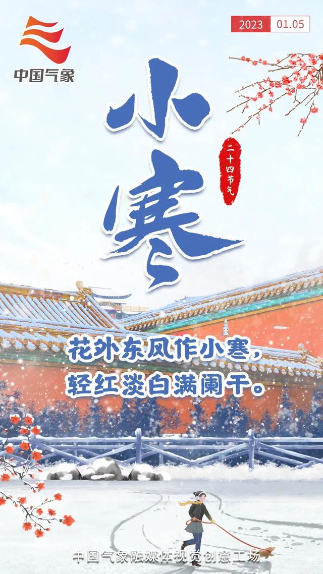 虎年是哪几年，兔年是哪几年生的年龄（24张海报回顾虎年二十四节气）