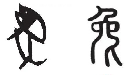 人的行为特征有，人的行为特征涉及哪些方面（那些存在我们记忆中的兔子）