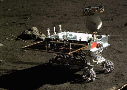 人的行为特征有，人的行为特征涉及哪些方面（那些存在我们记忆中的兔子）