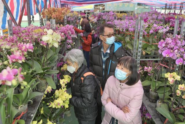结婚纪念日送什么花，30周年结婚纪念日送什么花（谁是年宵花中的“顶流”）