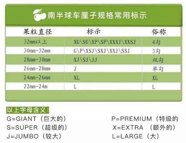 车厘子是什么季节的水果，车厘子是哪个季节的水果（车厘子怎么挑？记住这几点！）