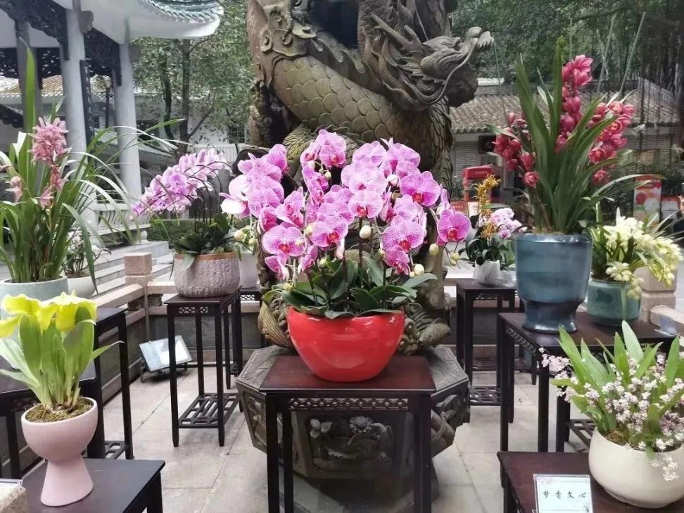 十一长假做什么，国庆节怎么过（赏灯、看烟花、徜徉花海、游园观展……收下广州春节活动超全攻略）