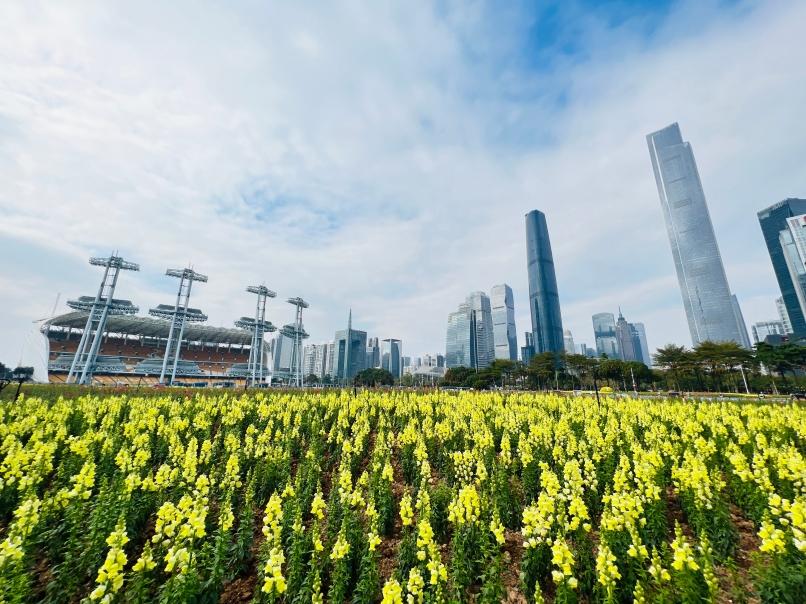 十一长假做什么，国庆节怎么过（赏灯、看烟花、徜徉花海、游园观展……收下广州春节活动超全攻略）