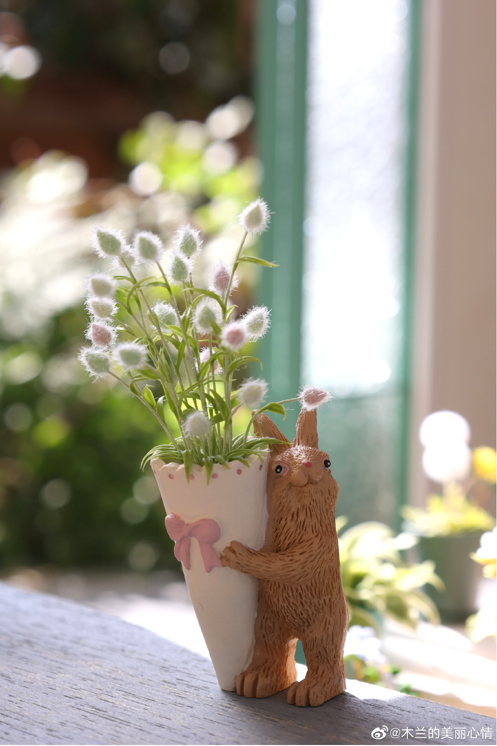 兔子名称大全及图片,这些软萌的"兔"植物你见过吗-名字-荣耀易学