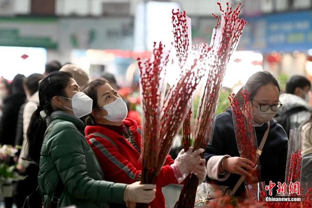 邂逅是什么意思，不期而遇的邂逅是什么意思（这个春节，邂逅一束鲜花的浪漫）