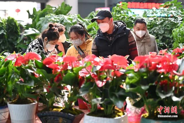 邂逅是什么意思，不期而遇的邂逅是什么意思（这个春节，邂逅一束鲜花的浪漫）