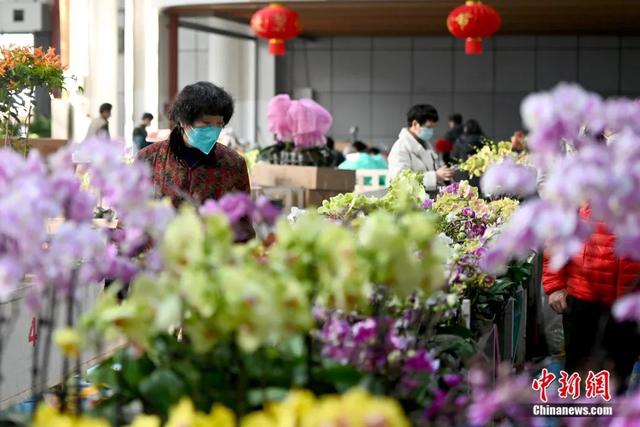 邂逅是什么意思，不期而遇的邂逅是什么意思（这个春节，邂逅一束鲜花的浪漫）