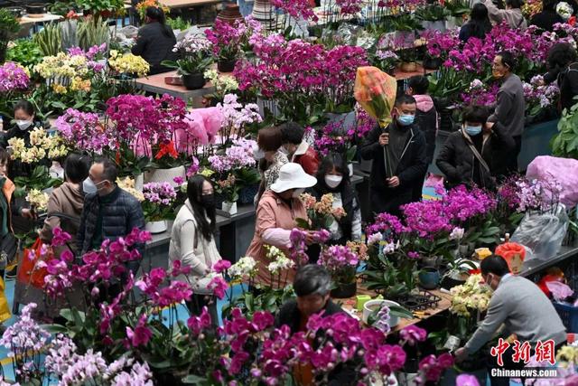 邂逅是什么意思，不期而遇的邂逅是什么意思（这个春节，邂逅一束鲜花的浪漫）