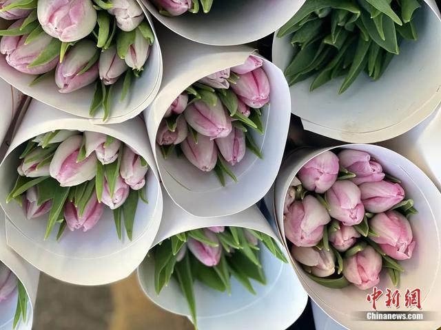 邂逅是什么意思，不期而遇的邂逅是什么意思（这个春节，邂逅一束鲜花的浪漫）