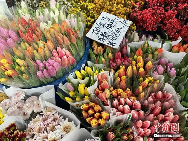 邂逅是什么意思，不期而遇的邂逅是什么意思（这个春节，邂逅一束鲜花的浪漫）