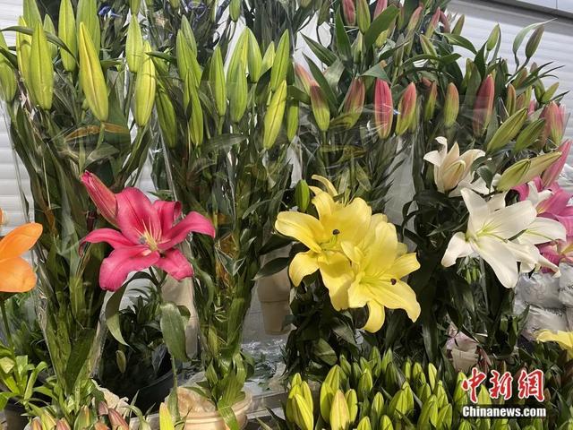 邂逅是什么意思，不期而遇的邂逅是什么意思（这个春节，邂逅一束鲜花的浪漫）