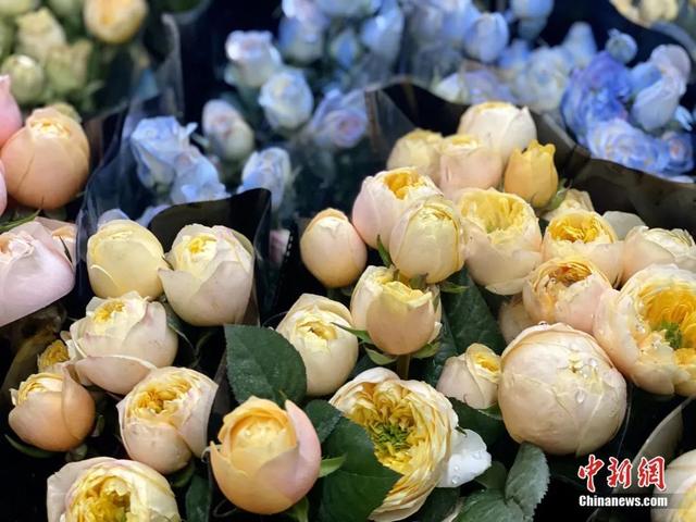 邂逅是什么意思，不期而遇的邂逅是什么意思（这个春节，邂逅一束鲜花的浪漫）