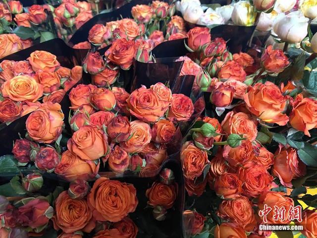 邂逅是什么意思，不期而遇的邂逅是什么意思（这个春节，邂逅一束鲜花的浪漫）