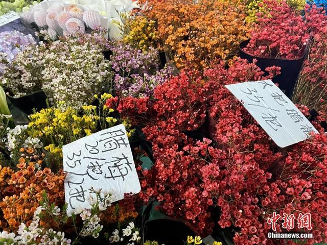 邂逅是什么意思，不期而遇的邂逅是什么意思（这个春节，邂逅一束鲜花的浪漫）