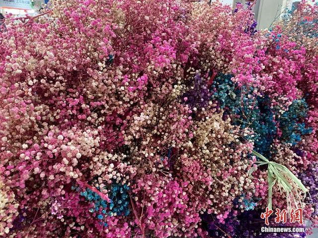 邂逅是什么意思，不期而遇的邂逅是什么意思（这个春节，邂逅一束鲜花的浪漫）