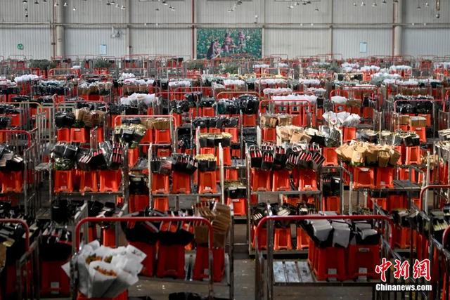 邂逅是什么意思，不期而遇的邂逅是什么意思（这个春节，邂逅一束鲜花的浪漫）