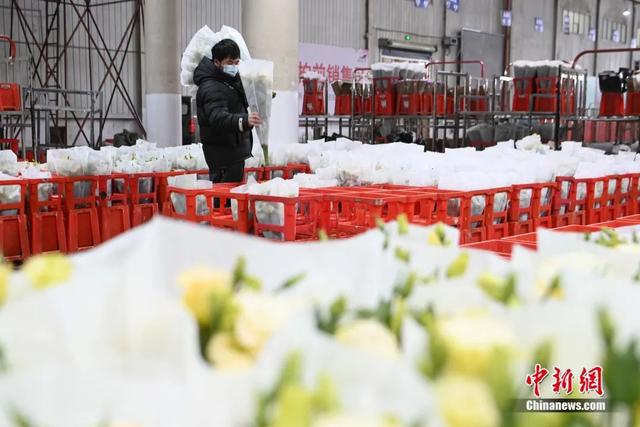 邂逅是什么意思，不期而遇的邂逅是什么意思（这个春节，邂逅一束鲜花的浪漫）