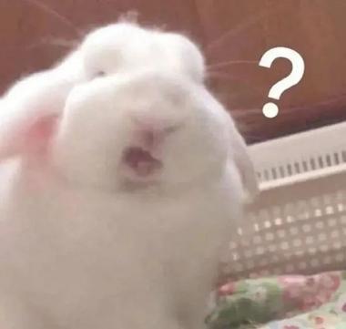 hat是什么意思，hat的中文意思是什么（“兔年”到底是rabbit）