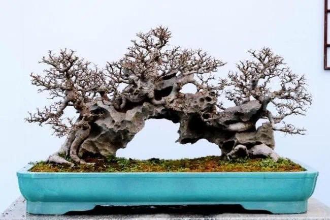 十一长假做什么，国庆节怎么过（赏灯、看烟花、徜徉花海、游园观展……收下广州春节活动超全攻略）