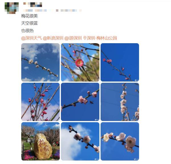 空调26度不制冷24度才制冷，专家建议空调别开26度（兔年第一股冷空气来“拜年”啦）