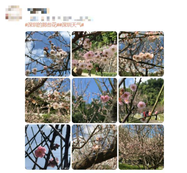 空调26度不制冷24度才制冷，专家建议空调别开26度（兔年第一股冷空气来“拜年”啦）