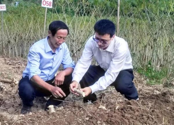 新中国第一个五年计划于哪一年开始实施，第一个五年计划开始于哪一年（这些中国科技名场面，值得骄傲）